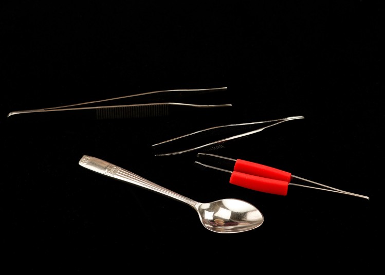 Collection of three tweezers and a demitasse spoon, all silver and all on black studio background. The spoon is in the foreground, face up and Cindy's image among studio lights can be seen very subtly in the inside of the 