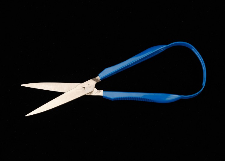 A studio shot of the looping scissors. The blades look and operate like other scissors, but the grips form a single loop, making unnecessary any thumb hole or bracing against the hand.