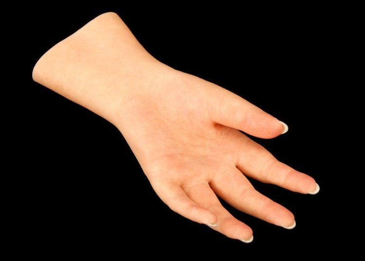 Palm side of the left cosmetic hand.